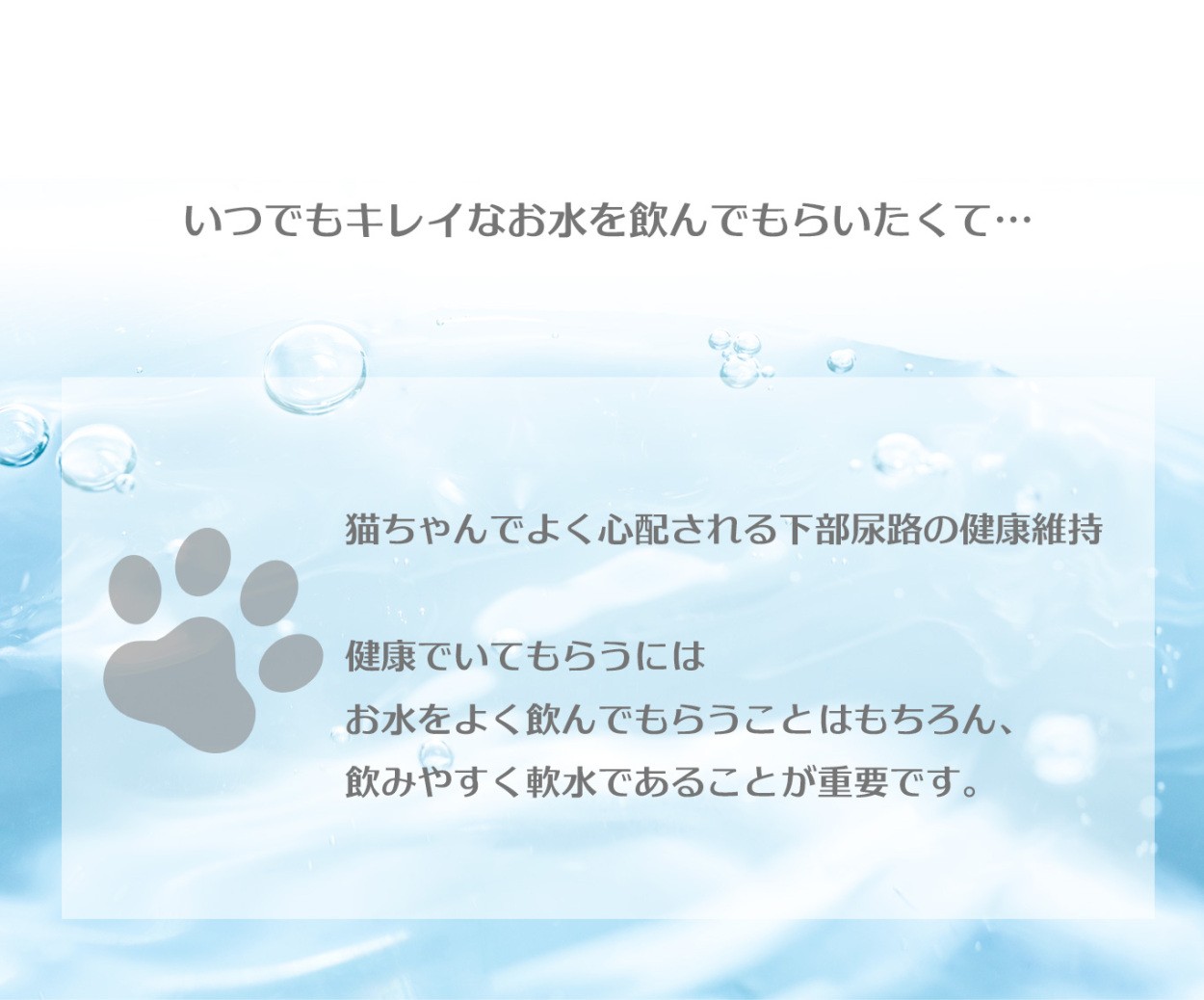 犬＆猫用 毎日きれいな水飲み器 アクアメビウス自動給水器用 交換用フィルター3個入 イオン交換樹脂タイプ 日本メーカー安心1年保証サポート