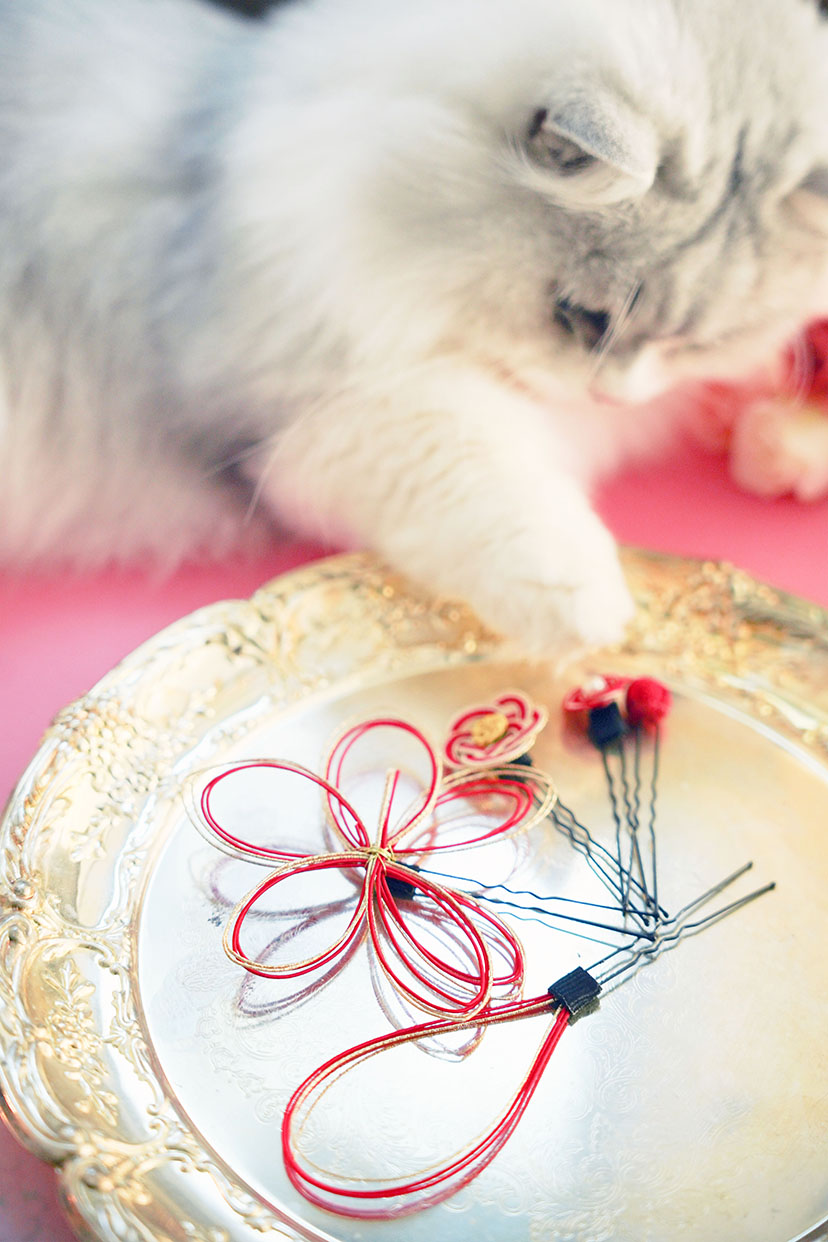 水引髪飾り Uピンセット 水引ヘア アレンジセット アクセサリー ヘアアクセサリー 和装 和装アクセサリー