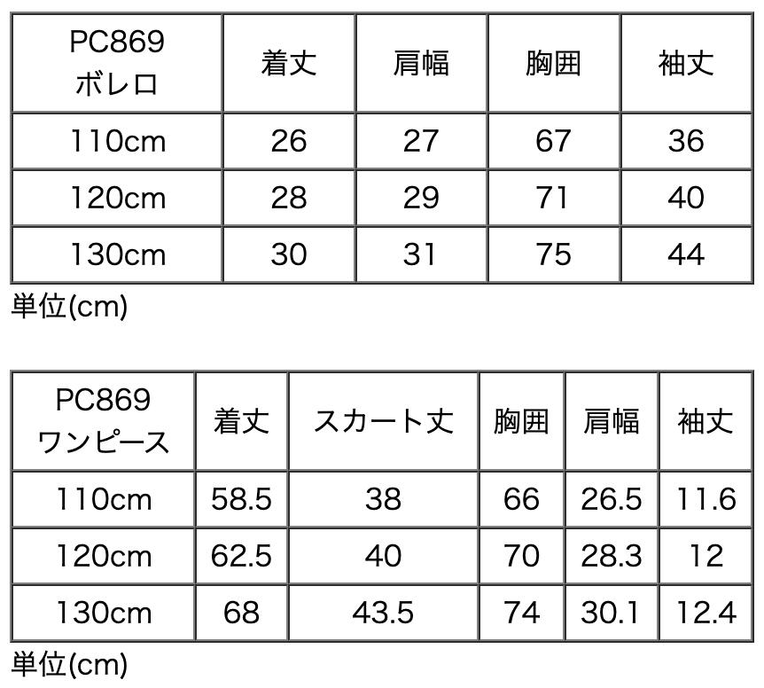 PC869サイズ表