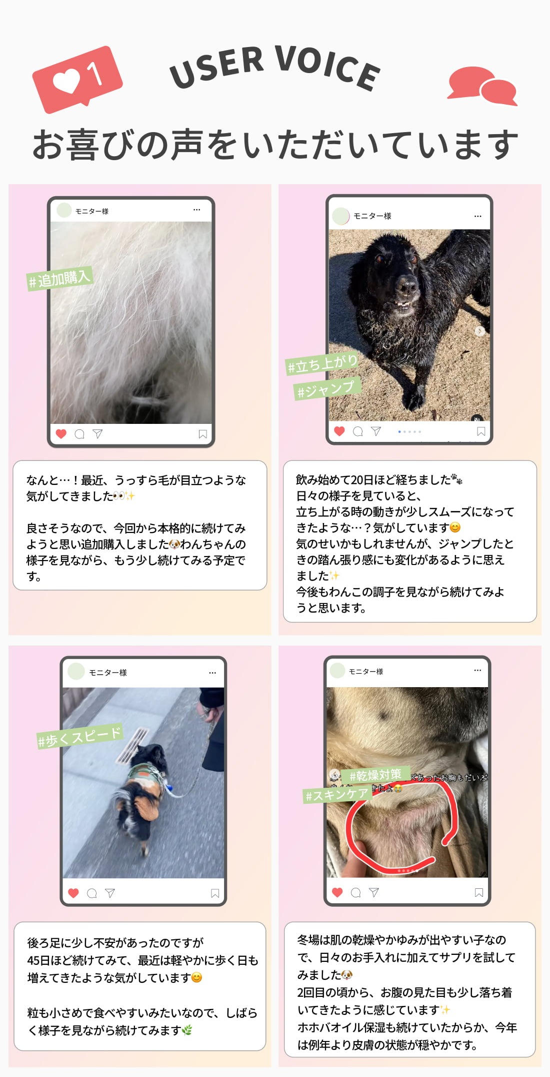 獣医師監修】犬用 ニュートリーツ バイタルズプラス オメガ3 関節皮膚