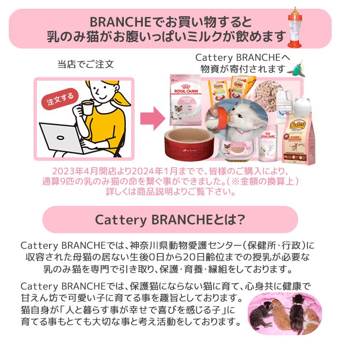 ロイヤルカナン アロマ エクシジェント 4kg｜cattery-branche｜05