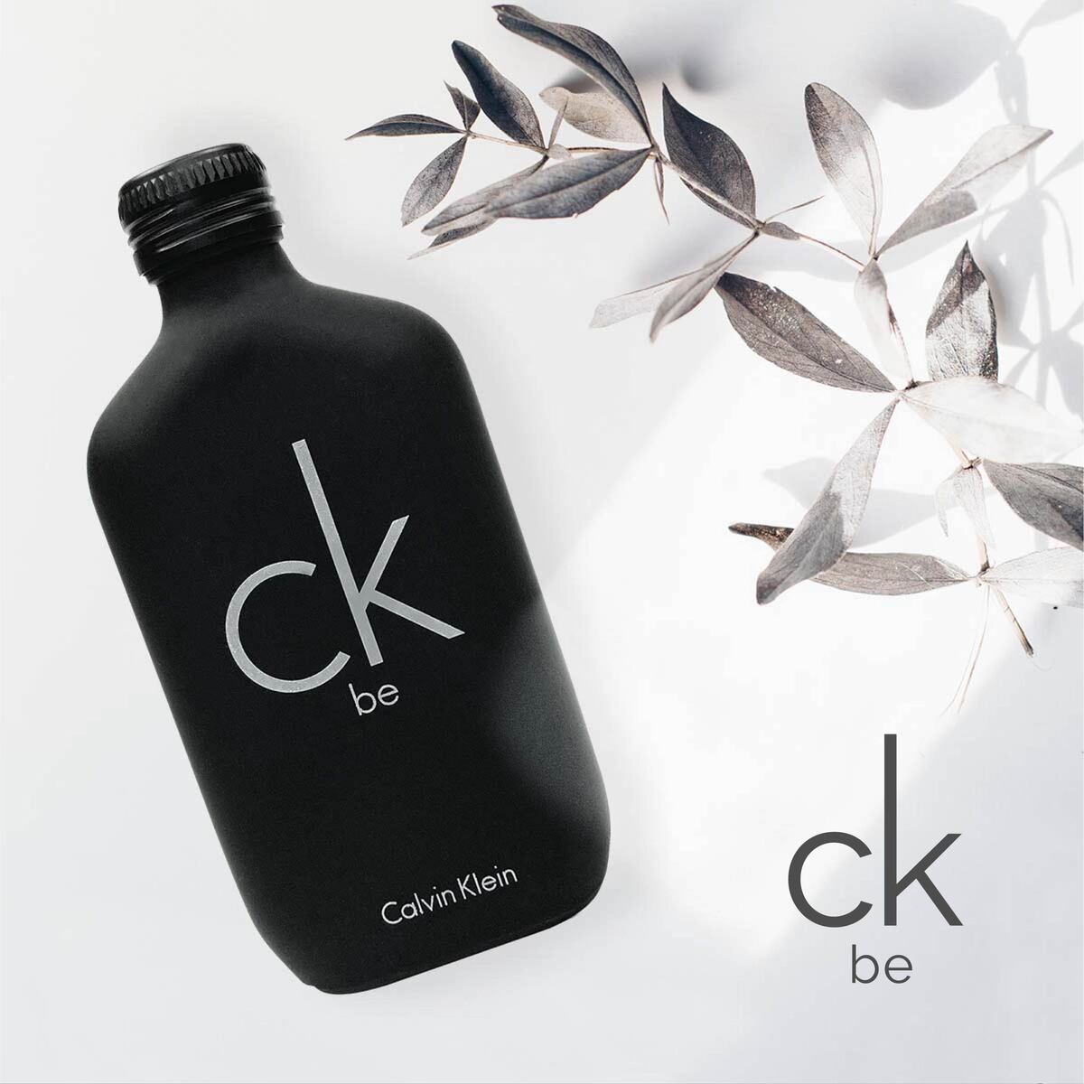 カルバンクライン 香水 CK be シーケービー 正規品 EDT SP 100ml