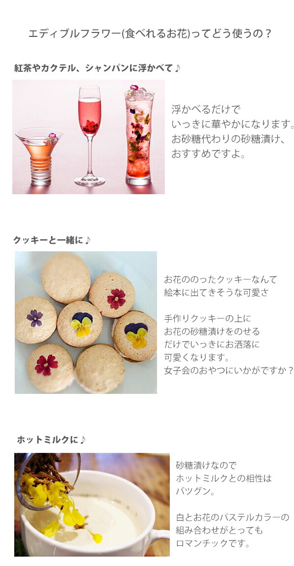 デメル スミレの砂糖漬け45g すみれの花の砂糖づけ 贈答品 手土産 贈答