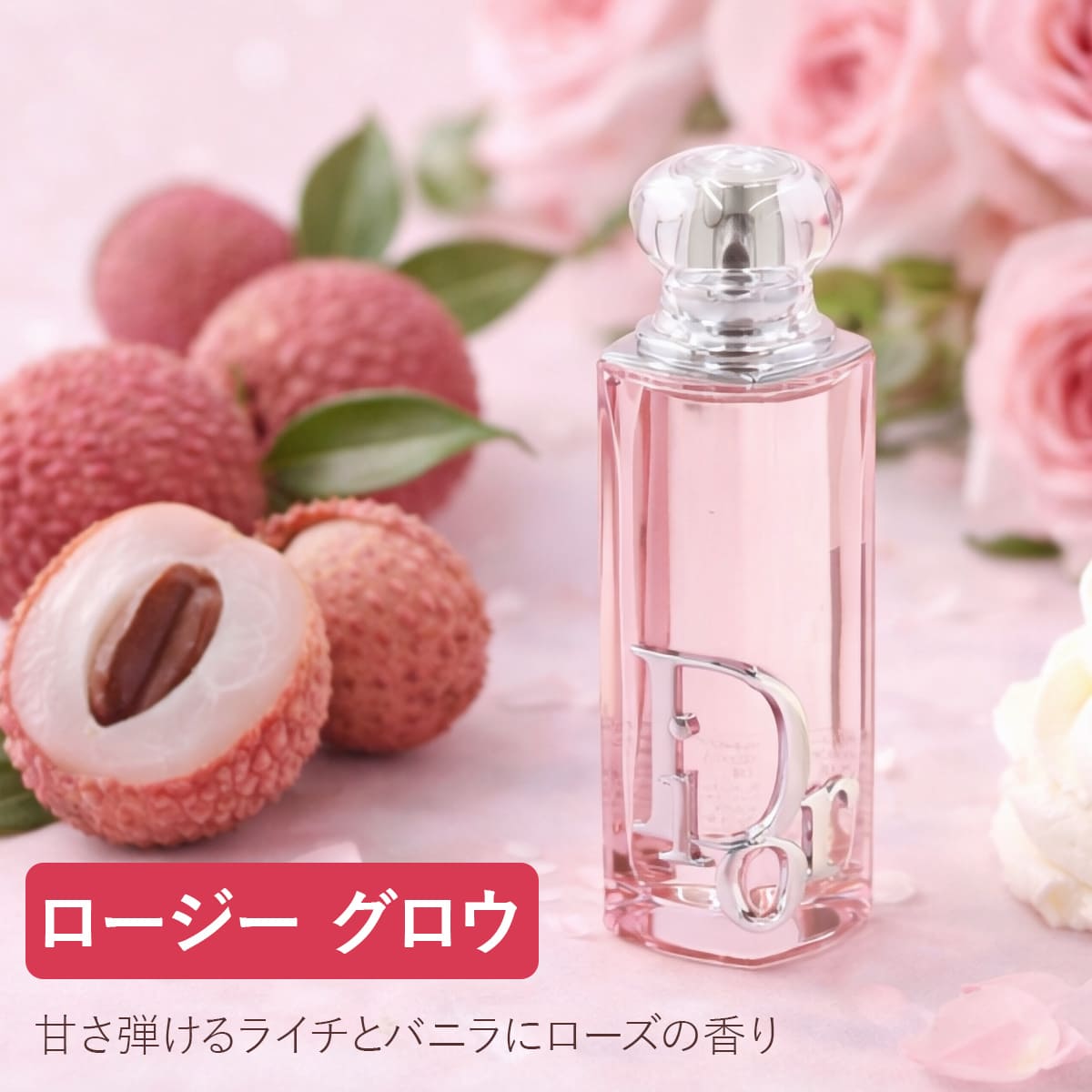 Christian Dior（クリスチャン・ディオール） Dior ディオール 2026年