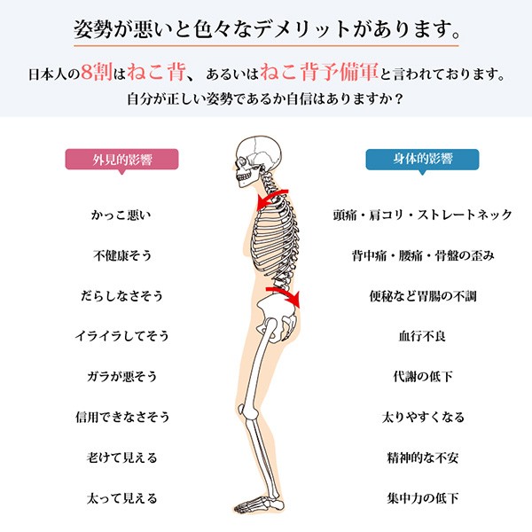 姿勢矯正ベルト