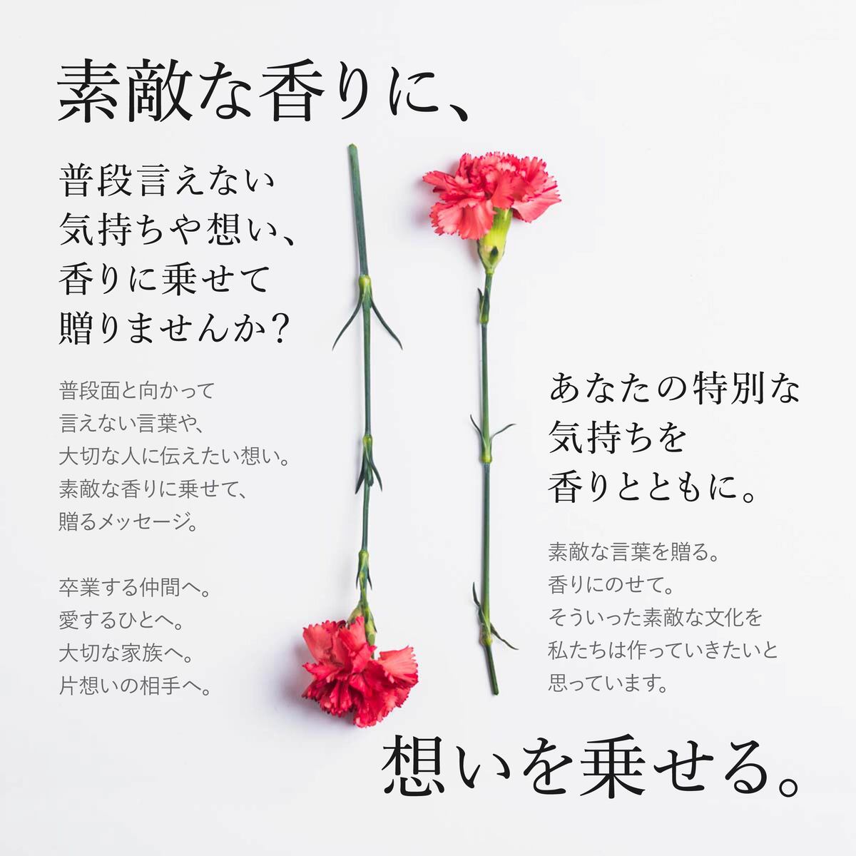 Calvin Klein（カルバン・クライン） 香水 CK ONE シーケーワン 正規品