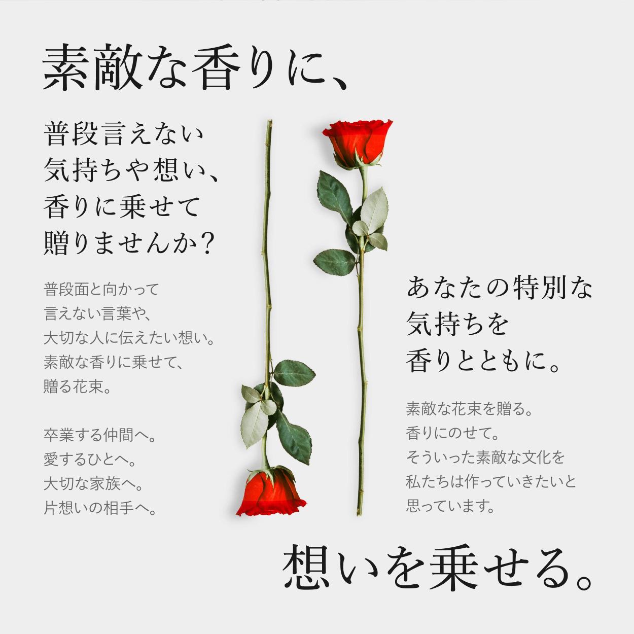 ソープフラワー バラ 花束 108本 そのまま飾れる 薔薇 誕生日 送料