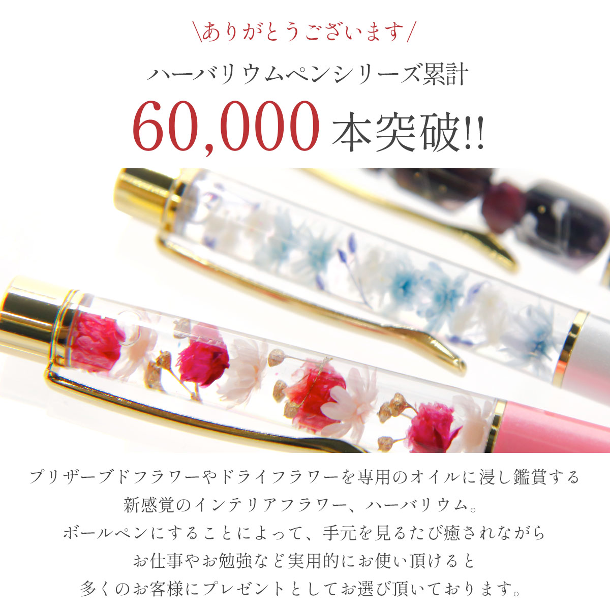 ハーバリウム ボールペン 名入れ ディズニー プリンセス