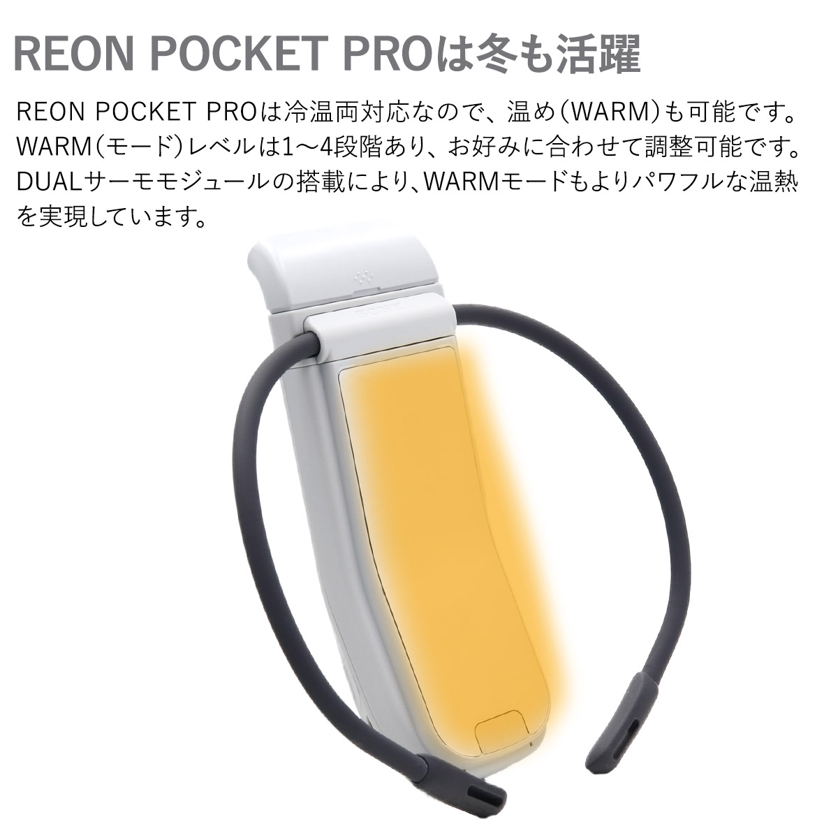 SONY REON POCKET PRO ソニー レオンポケットプロ ウェアラブル