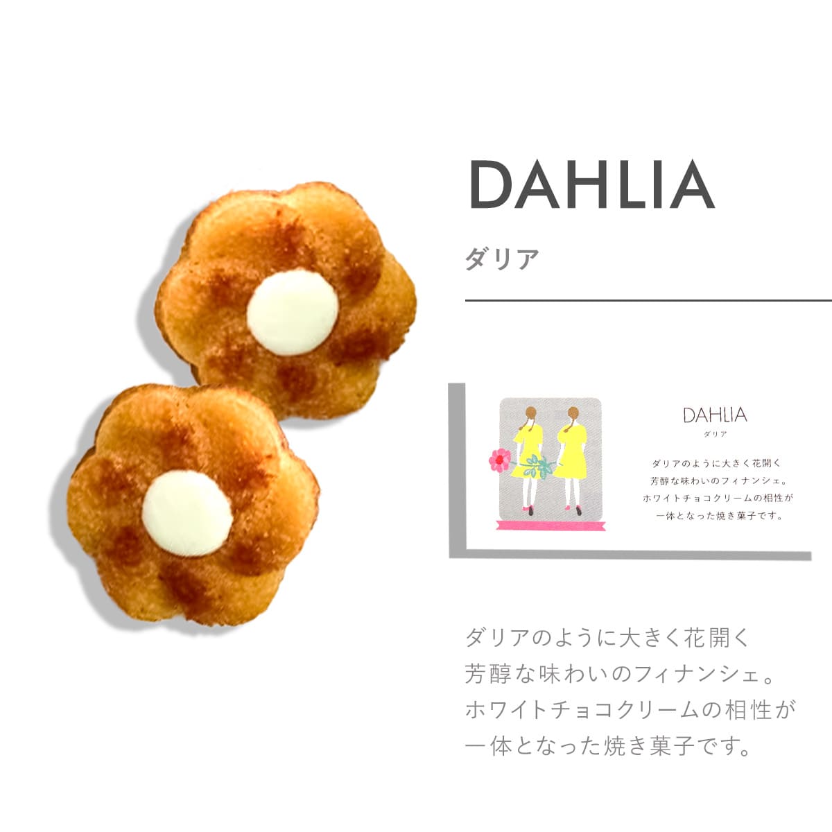 Tartine タルティン ダリア （ D-20 ） 10個入り tartine お菓子