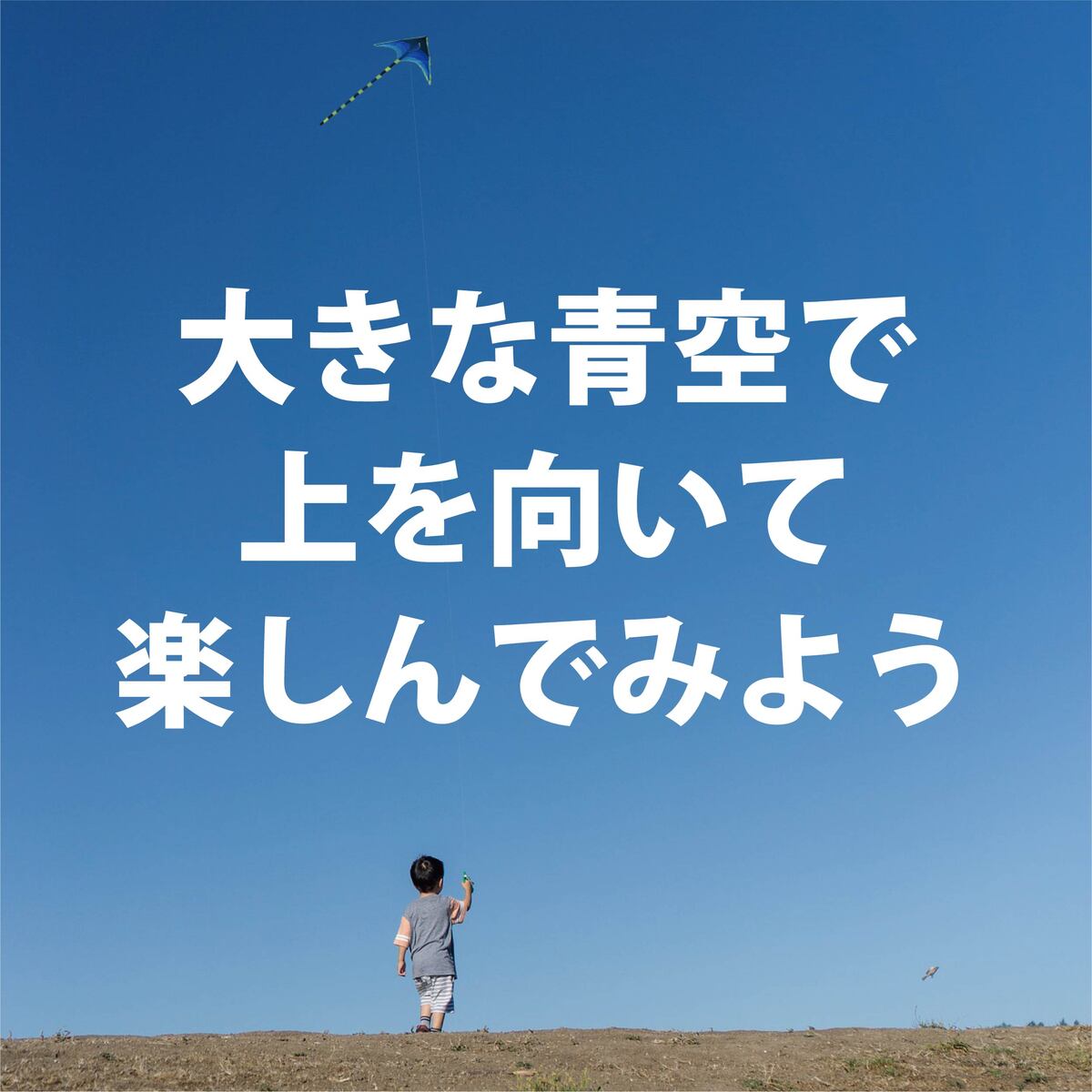 カイト 凧 専用リール付属 長尾200cm 凧揚げ 凧上げ タコ揚げ スポーツ 外遊び キッズ 子供 家族 おもちゃ 玩具 レジャー ピクニック 公園 キャンプ 折りたたみ 持ち運び楽 アウトドア スポーツトイ スカイスポーツ　春夏秋冬 パラフォイルカイト 専用リール付属