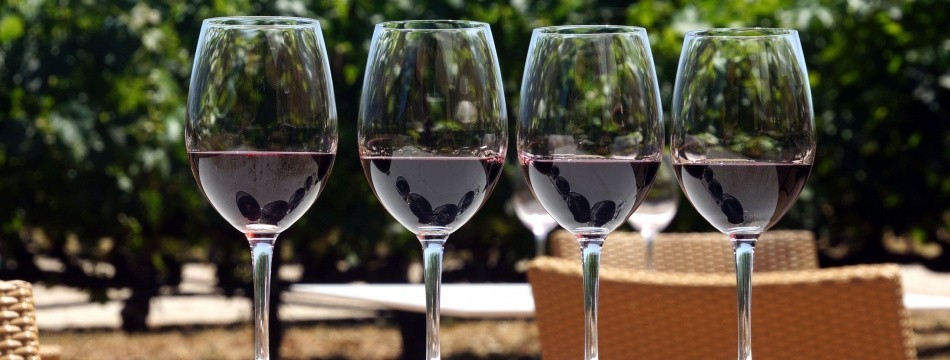 VINOSITYdomi Web