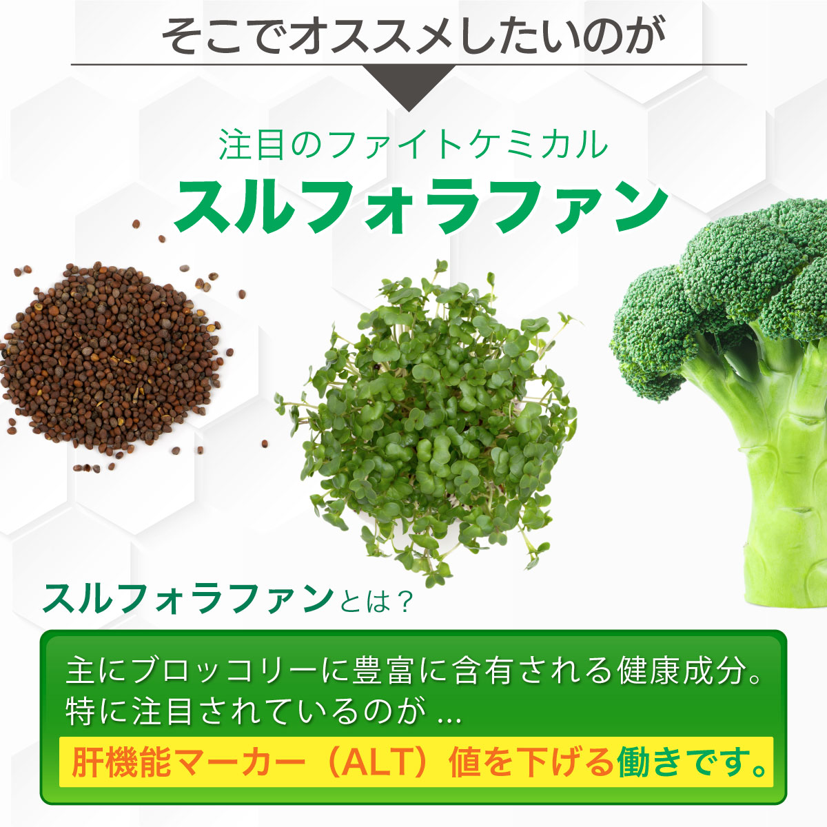 機能性表示食品 スルフォラファン × 3袋 ( 3ヵ月分 ) ALT値