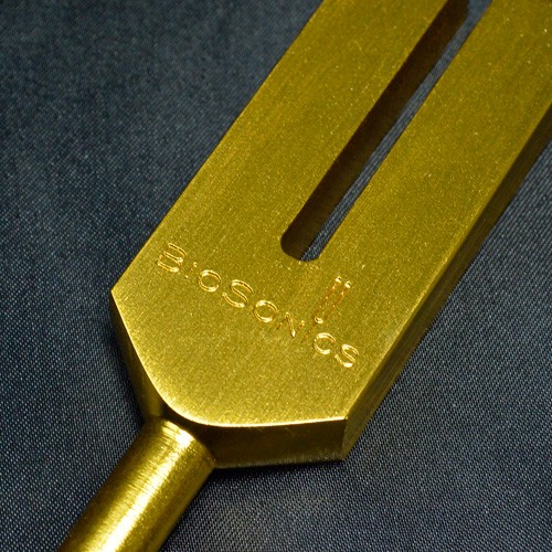 gr10154xx8.jpg