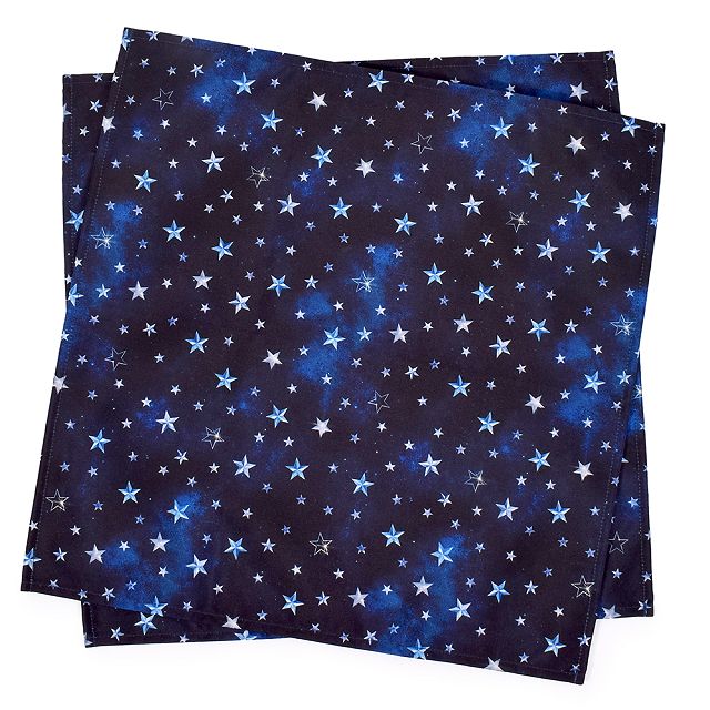 ランチョンマット（ラージ/スタンダード）ランチクロス 給食カバー テーブルカバー おしゃれ かっこいい 保育園 小学校 小学生 子供 キッズ 男の子 | ブランド登録なし | 24