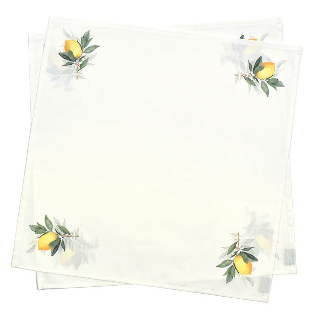 テーブルナプキン／トーション 2枚セット シンプル ひざ掛け キッチン