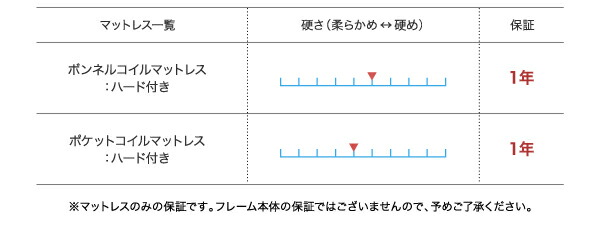 安心の国内正規品 収納付きベッド シングルベッド セミダブルベッド 収納 薄型抗菌国産ポケットコイルマットレス付き 横開き セミシングル ショート丈 深さラージ 組立設置付