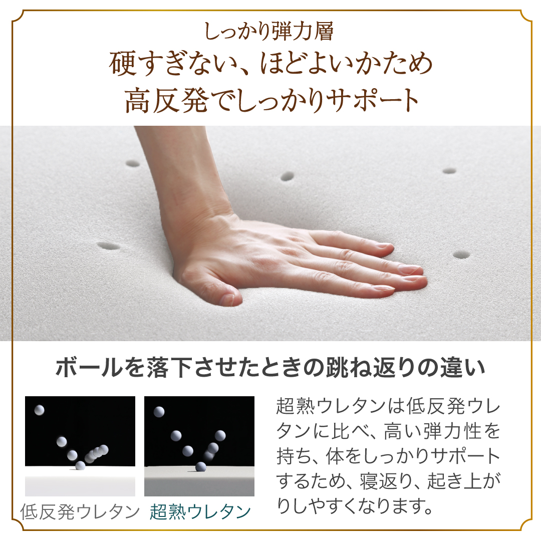 マットレス セミダブル 3つ折り 三つ折り 折りたたみ 高反発 敷布団 コンパクト 収納 極厚 かため 抗菌 防臭 防ダニ 洗える 通気性 腰 白 黒 厚さ10cm |  | 12