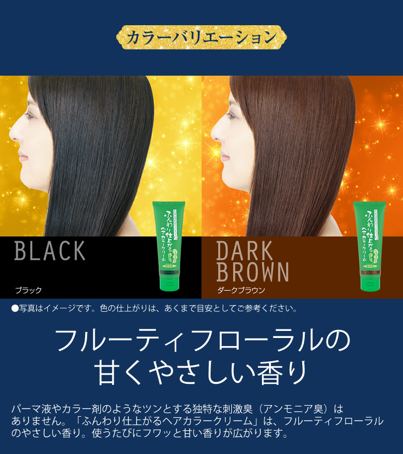 ブレーンコスモス ふんわり仕上がるヘアカラークリーム 200g (全国一律