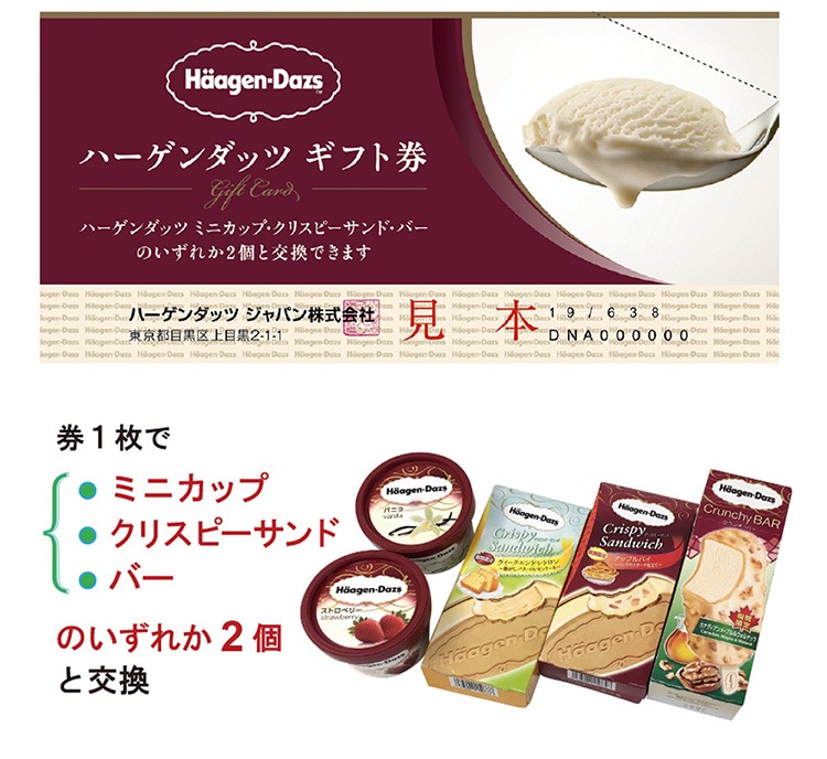 サー⭐︎様ご確認品 🌺新商品🌺 『#シーサーのおみやげやさん ホログラムクリアファイル