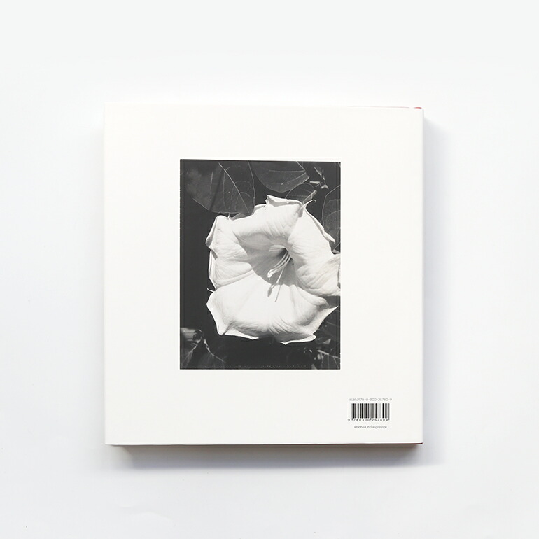 ia O'Keeffe ジョージア・オキーフ 画集＋写真集セット ジョージア・オキーフ 写真集 アートブック GEORGIA O'KEEFFE