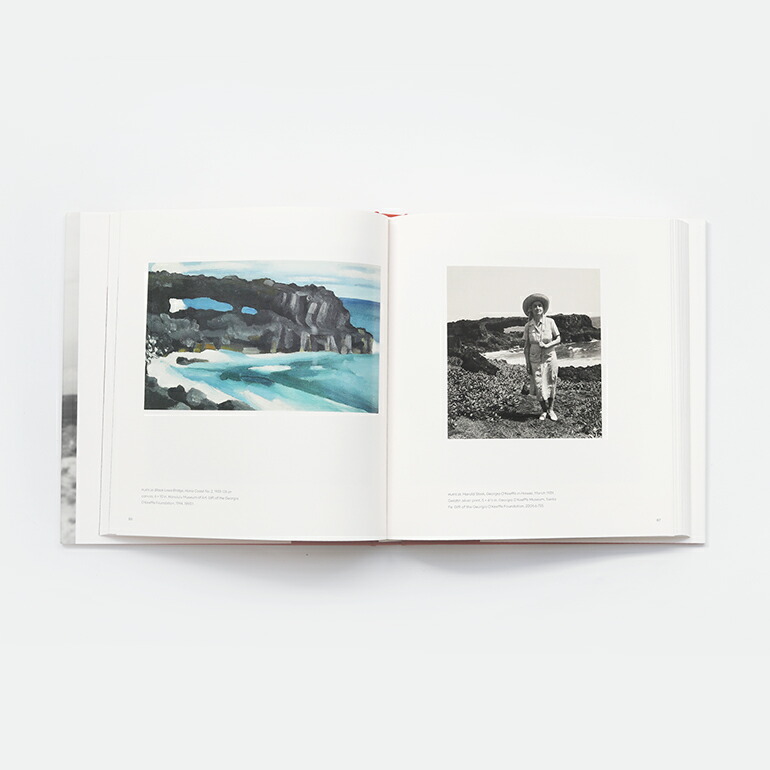 ia O'Keeffe ジョージア・オキーフ 画集＋写真集セット ジョージア・オキーフ 写真集 アートブック GEORGIA O'KEEFFE