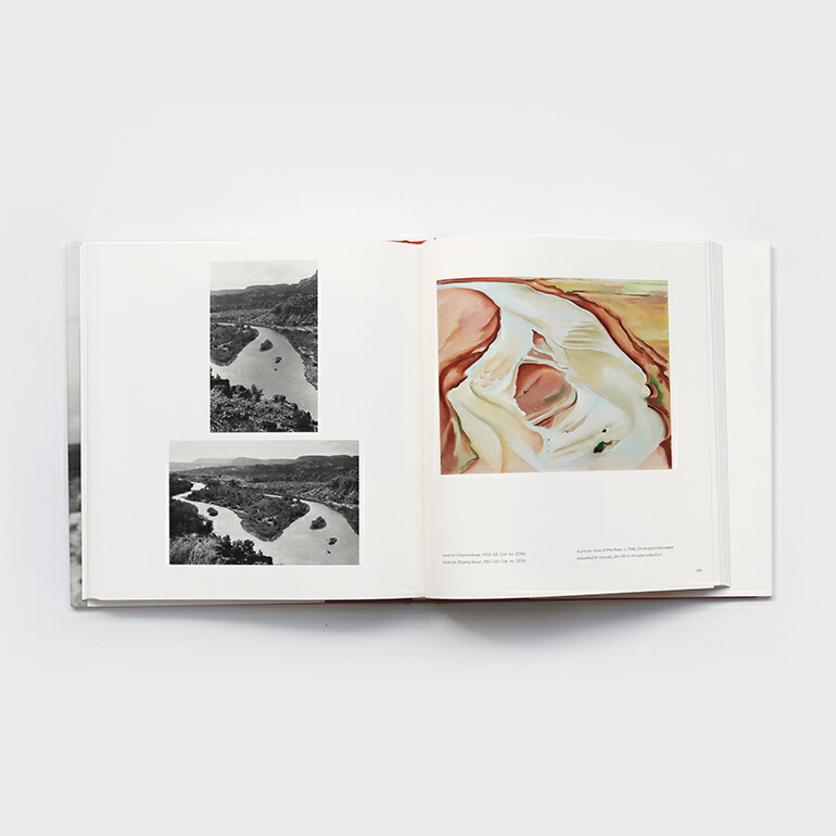 ジョージア・オキーフ 写真集 アートブック GEORGIA O'KEEFFE