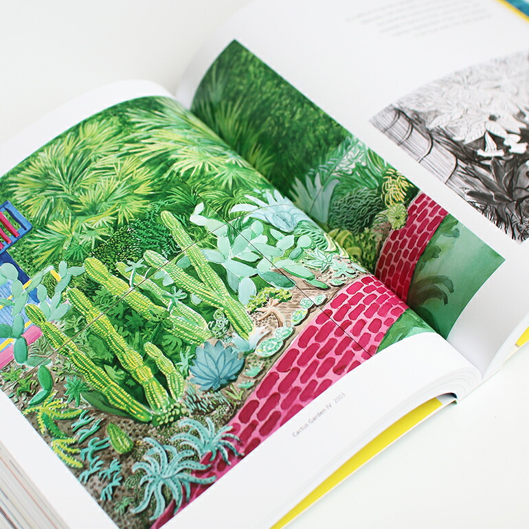 デビッド ホックニー アートブック 作品集 HOCKNEY'S PICTURES by