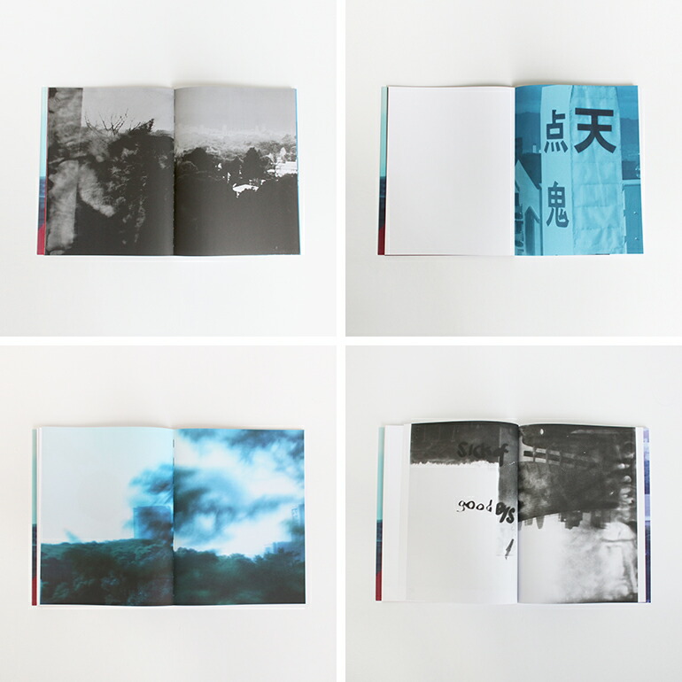 Amazon.co.jp: 洋書 画集 作品集 アートブック フンデルト