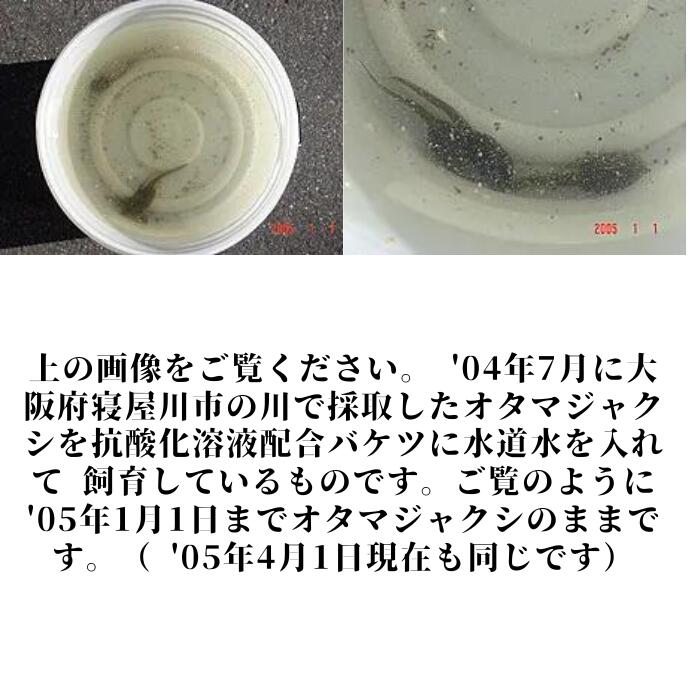 imgrc0116469726.jpg