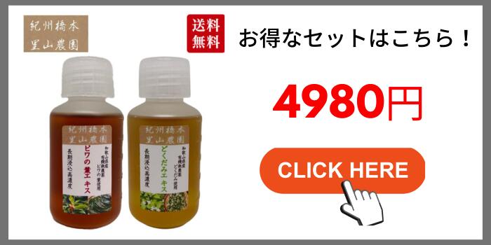 どくだみエキス 100ml 紀州橋本里山農園 和歌山県産 無農薬 有機栽培 100% オーガニック 国産 どくだみチンキ 十薬 肌鎮静 虫よけ 湿布  : 20220122b09kr52765 : 総合ショッピングくろねこ屋 - 通販 - Yahoo!ショッピング