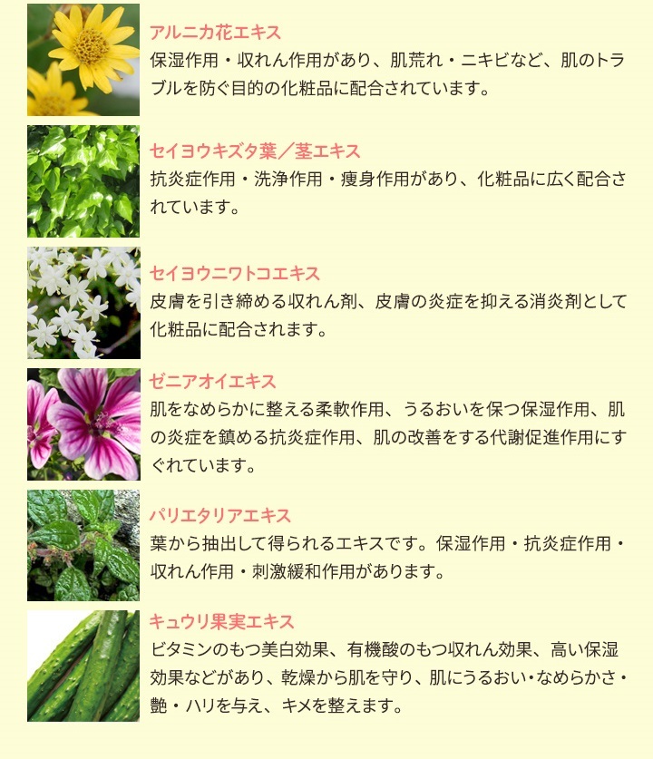 天然成分を贅沢に配合