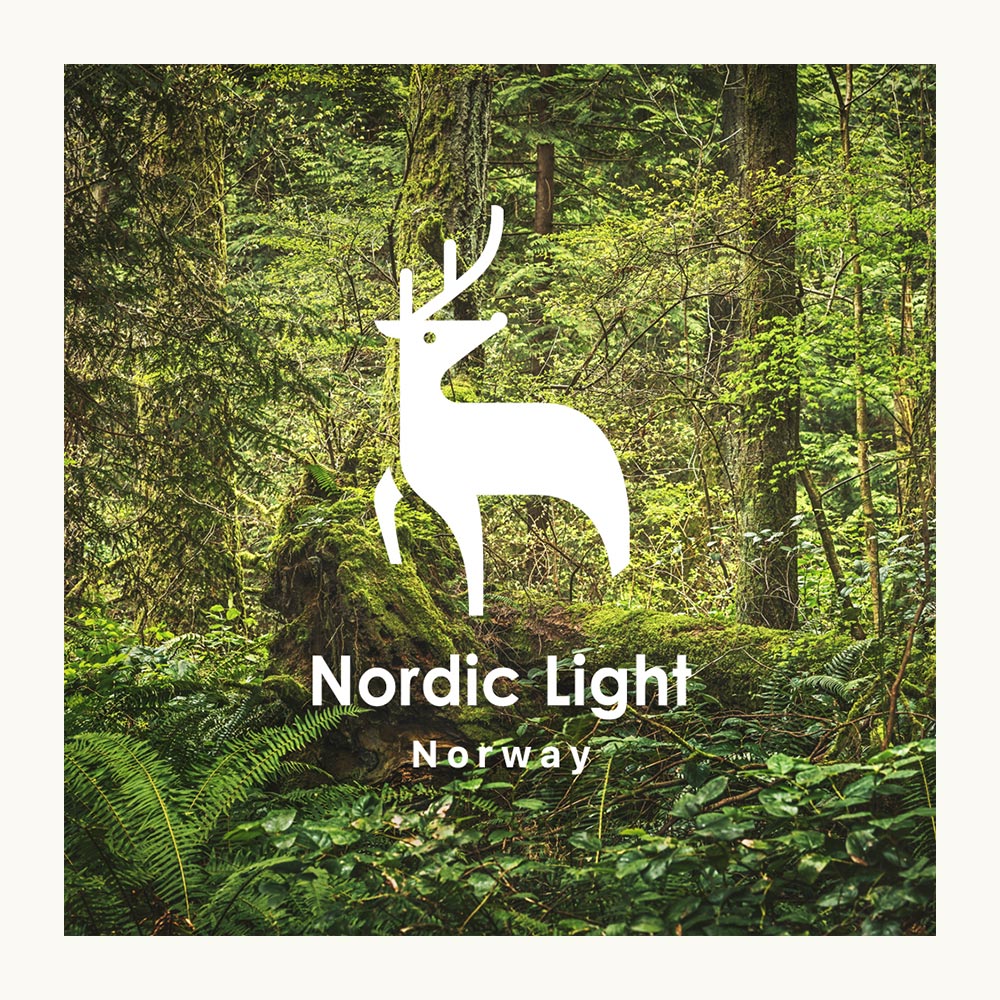 モカシンシューズ レディース 黒 ハイカット ノルディックライト ショートブーツ 北欧 ブラック キャメル Nordic Light NL0063｜celeble｜04