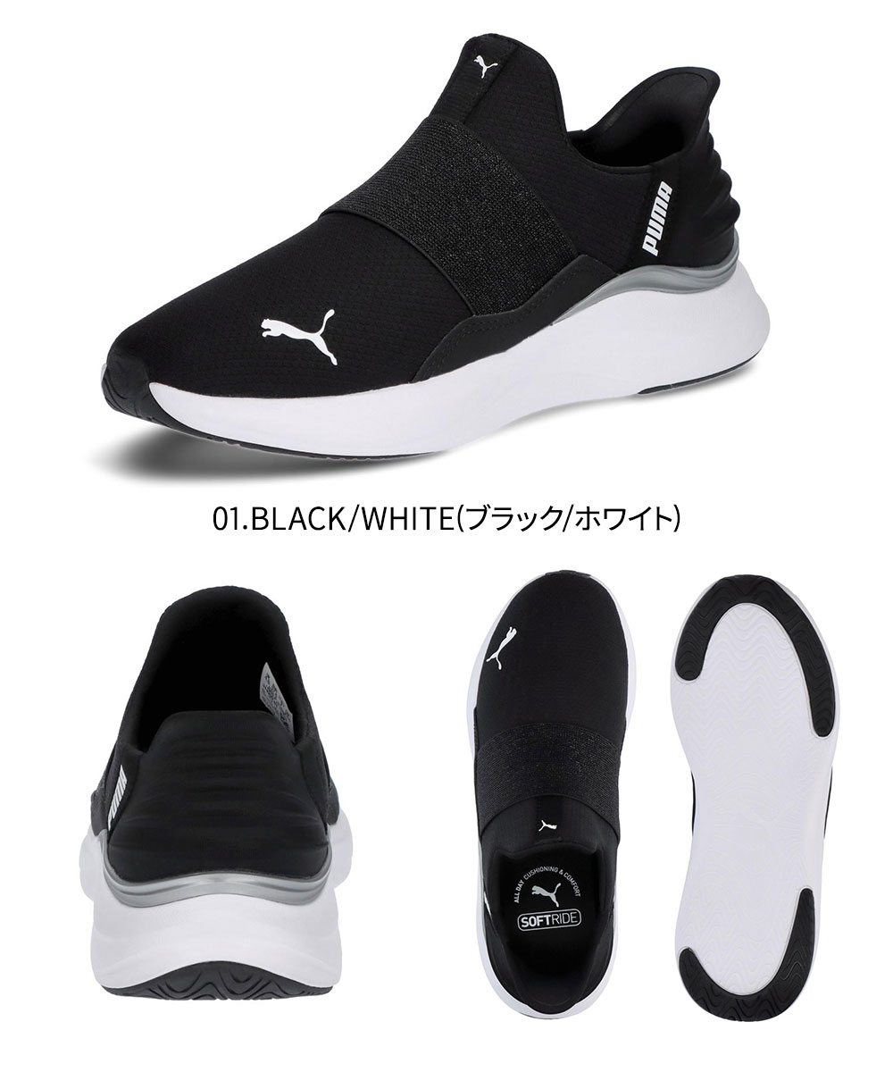 スッポン　習性と新しい養殖法　中古品 スッポン 習性と新しい養殖法 中古品 スッポン 習性と新しい養殖