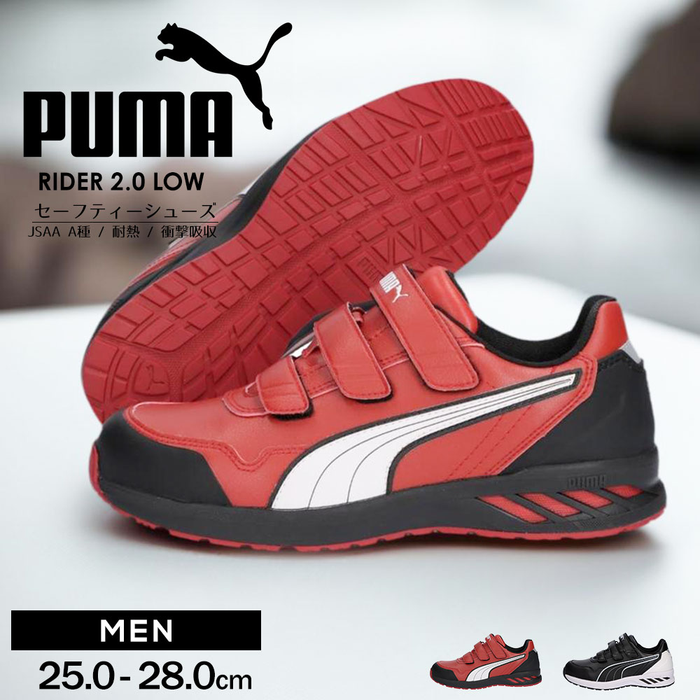 v[} Z[teBV[Y SC  C_[ 2.0 [ }CNt@Co[ }CNt@Co[  dC  puma