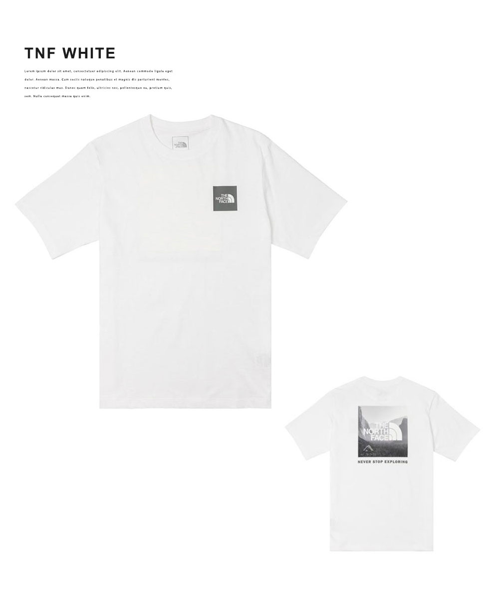 THE NORTH FACE ザノースフェイス Tシャツ 半袖 メンズ シンプル
