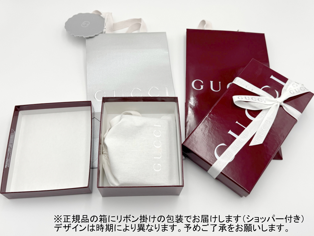 GUCCI（グッチ） レディース iPhone 17 Pro ケース【ブライトブルー