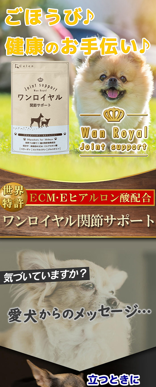 Wan Royal ワンロイヤル 関節 サポート 犬 犬用 老犬 サプリ サプリメント グルコサミン ドッグフード おやつ ギフト プレゼント