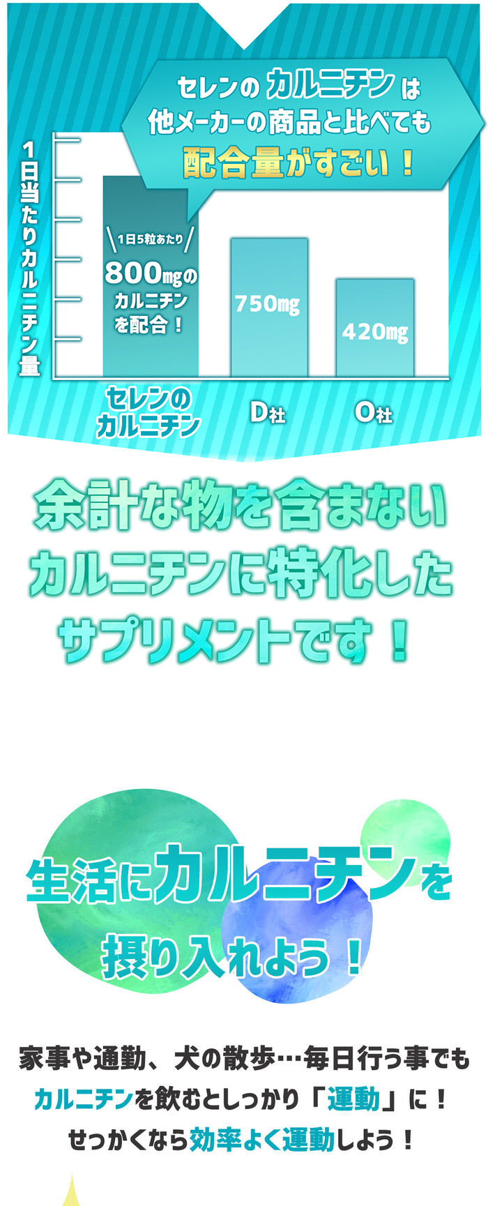 10 Off セレン公式 カルニチン サプリ Lカルニチン 800mg 1粒入 30日分 ダイエットサプリ 効果 激やせ Shipsctc Org