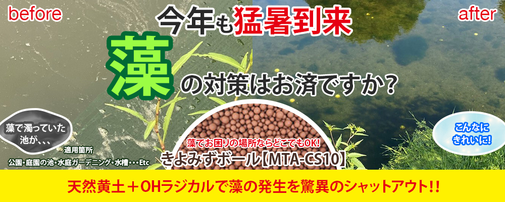 タイトル画像