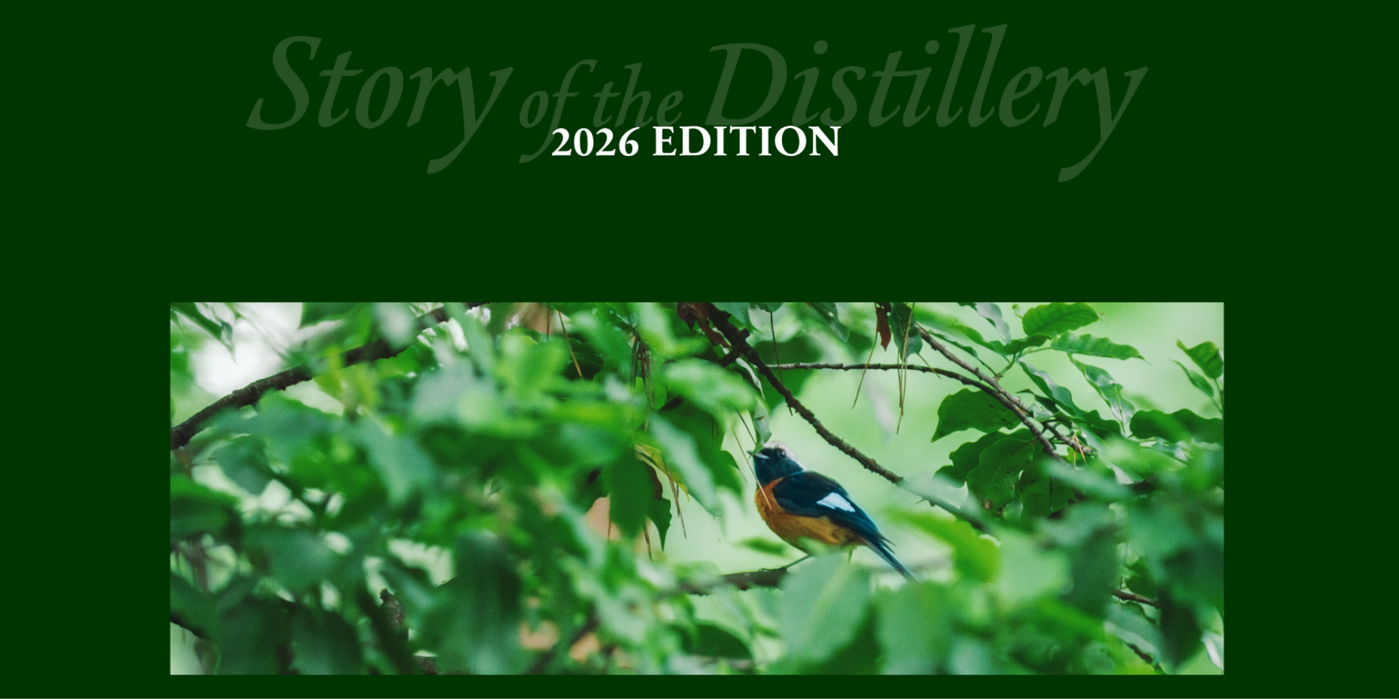 サントリー シングルモルトウイスキー 白州 Story of the Distillery