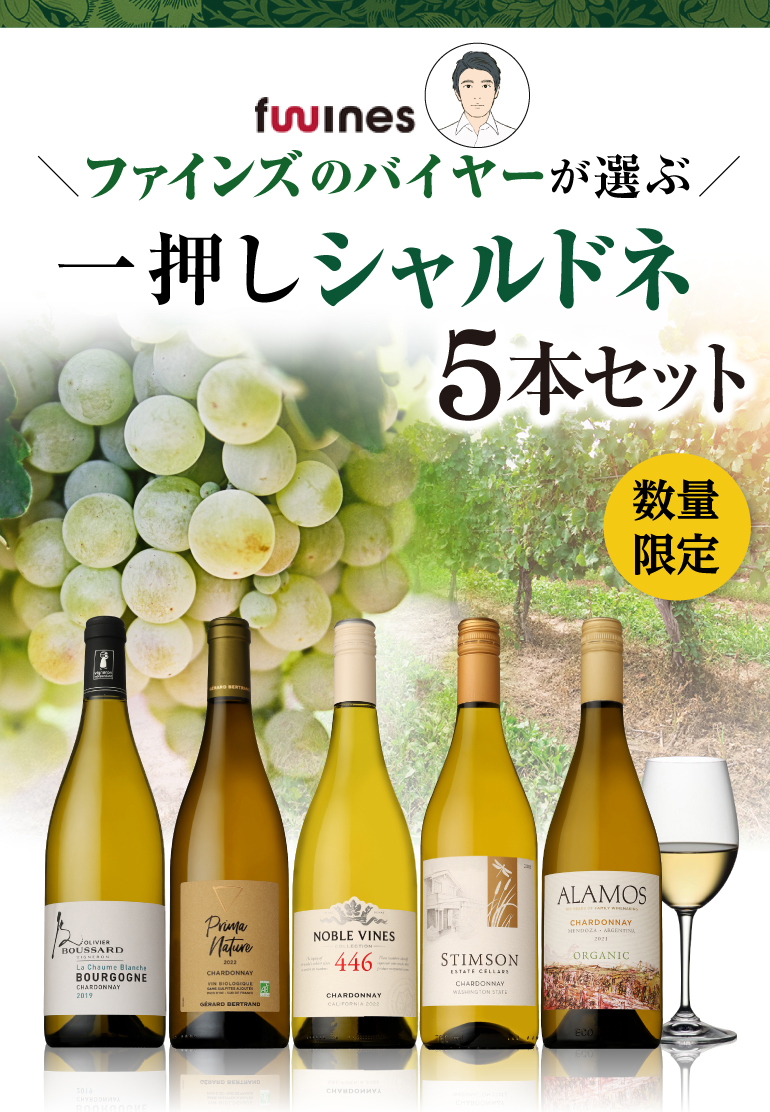 ワインセット 白セット 1本あたり2,200円(税込) 送料無料 一押し