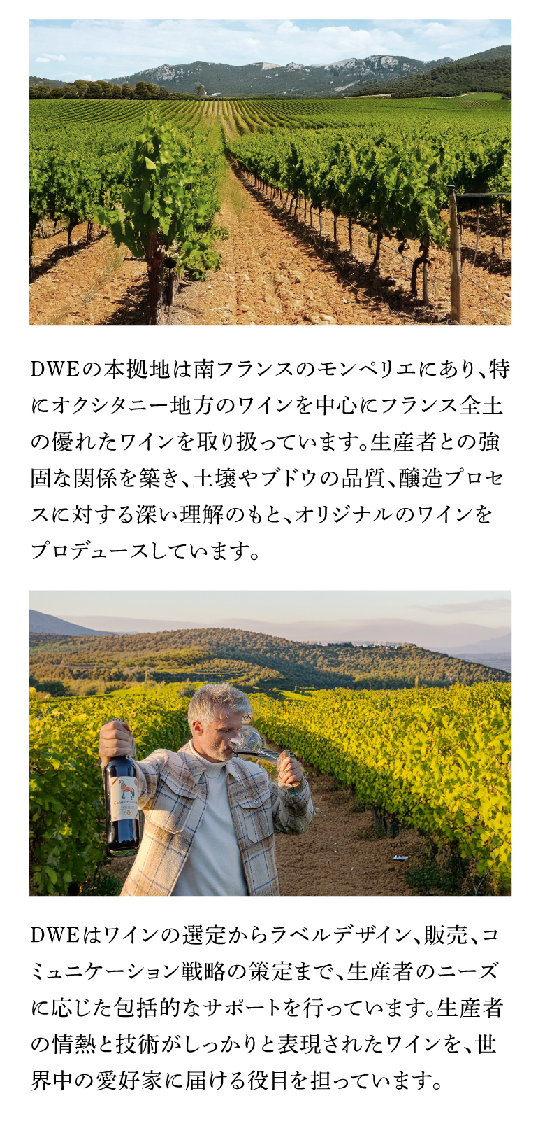 ワイン 赤ワイン 赤 シュヴァリエ デロード ラングドック (2022