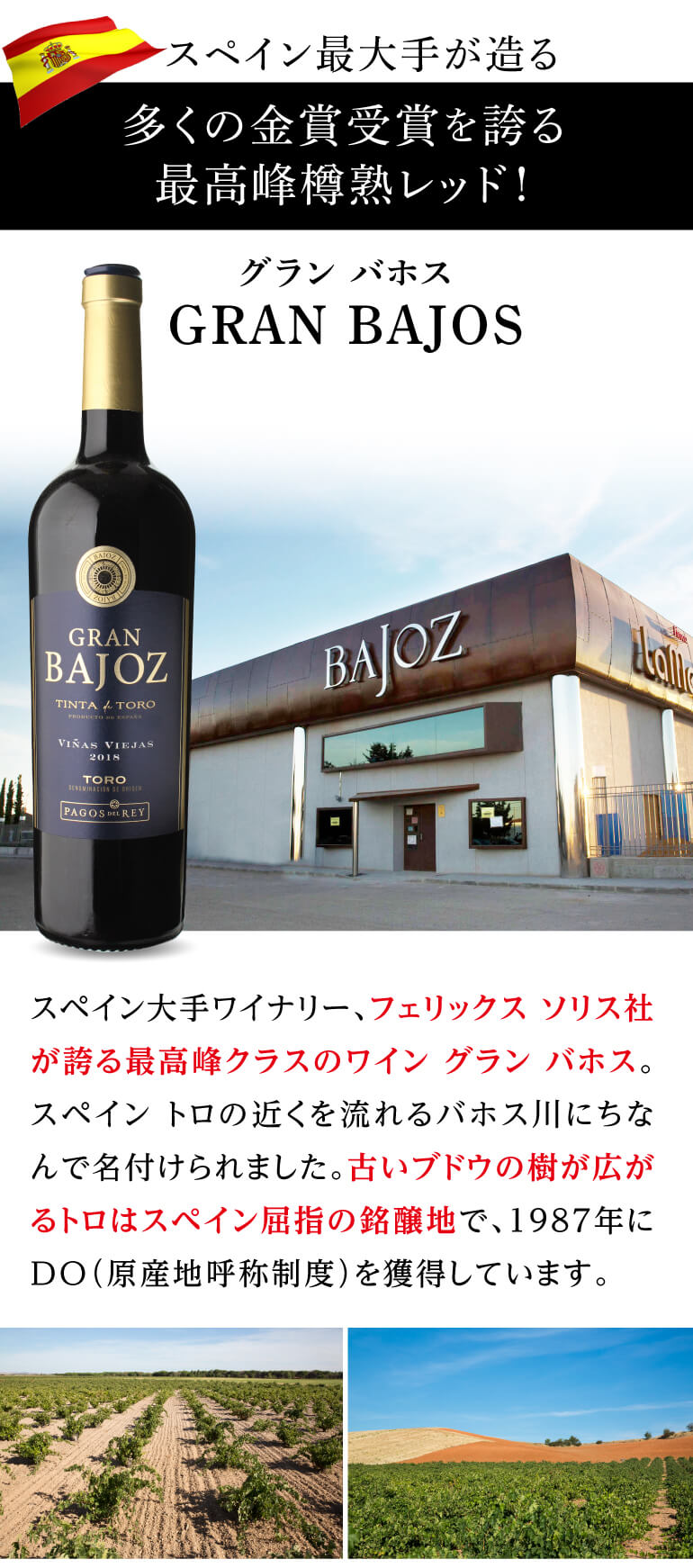 Pegaso & Lafage ワインセット 2010年 フィリップ・エ・シルヴァン・ラヴィエ ルーセット・ド