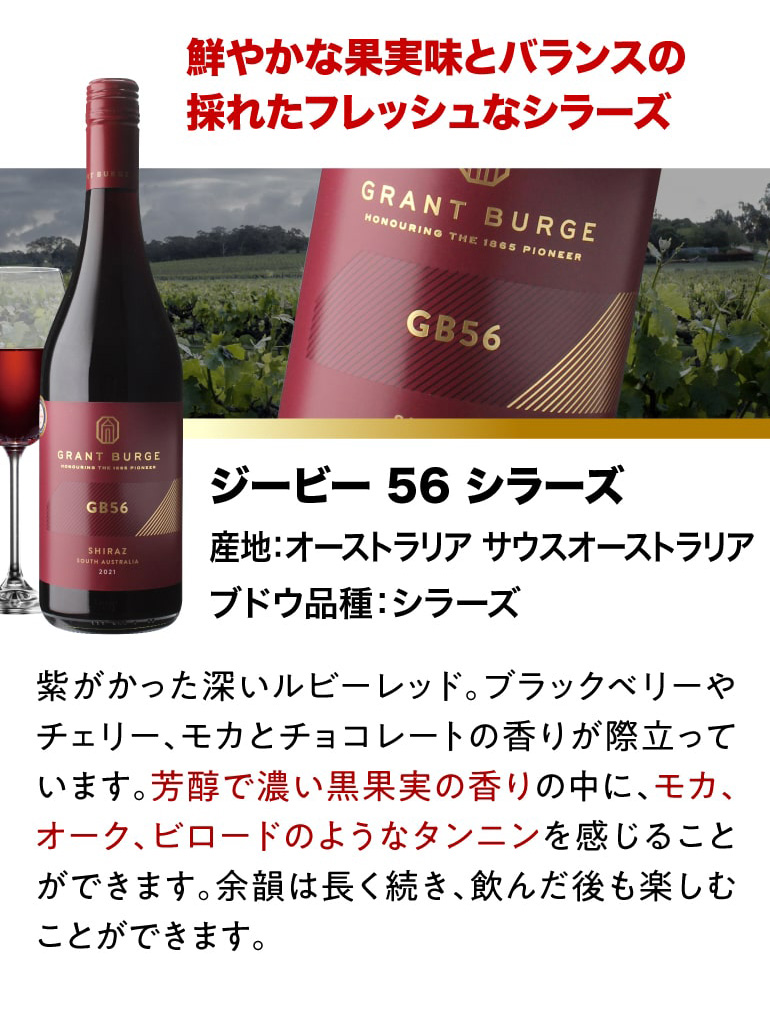 SA38-B | ZERO Advance | 製品一覧 | ワインセラー・日本酒