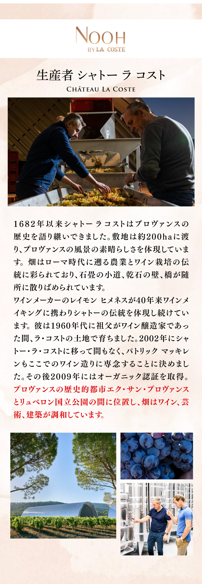 ヌー スパークリング ノンアルコール