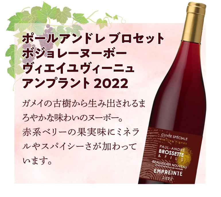 送料無料 ジャン コルソン 500ml ボジョレー ヴィラージュ ヌーボー 12本セット 2022 ペットボトル