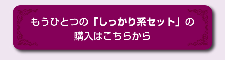 モッチーセット1453