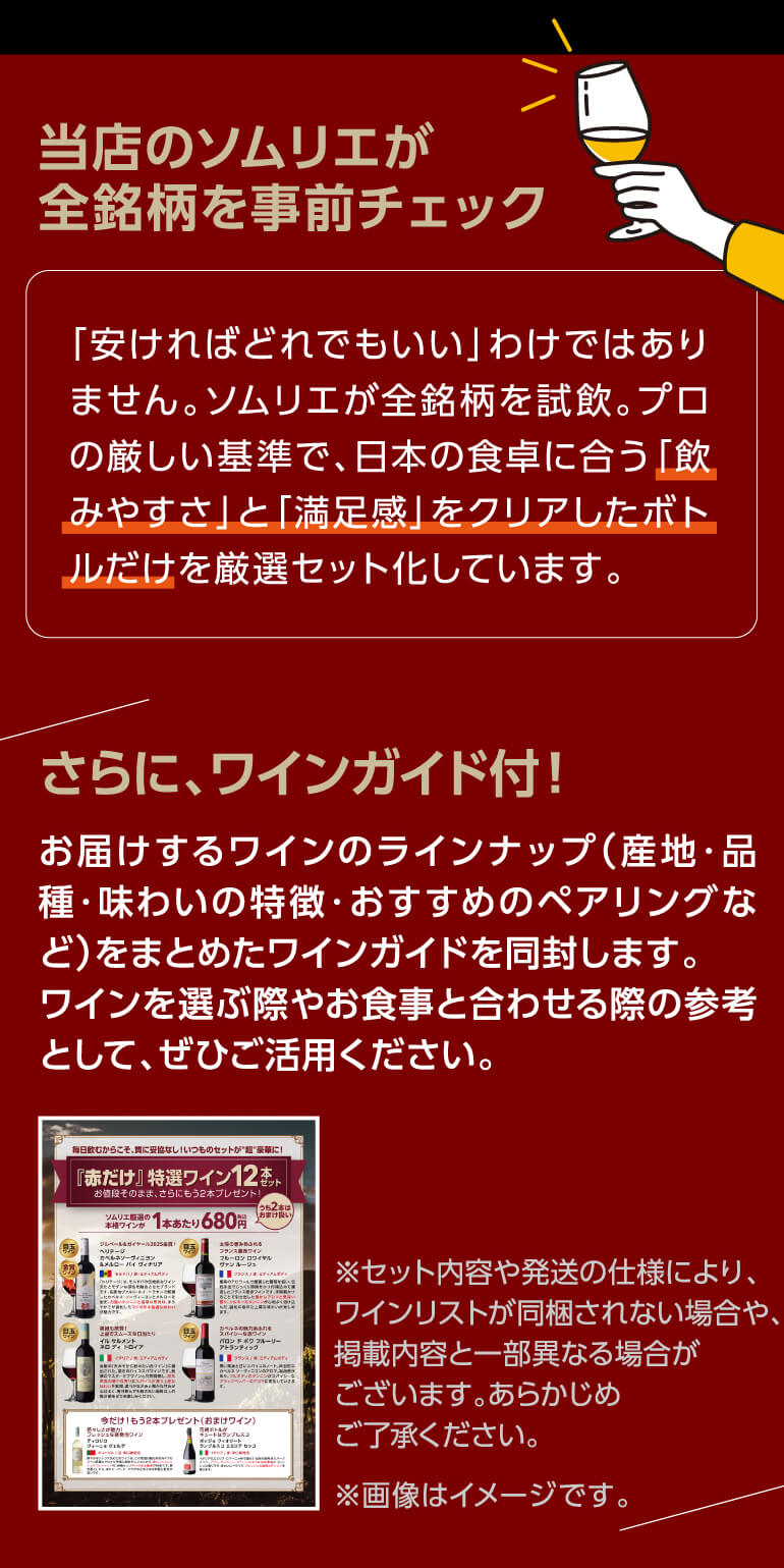 ワインセット ワイン 赤ワイン セット 12本＋2本(14本セット) 送料無料
