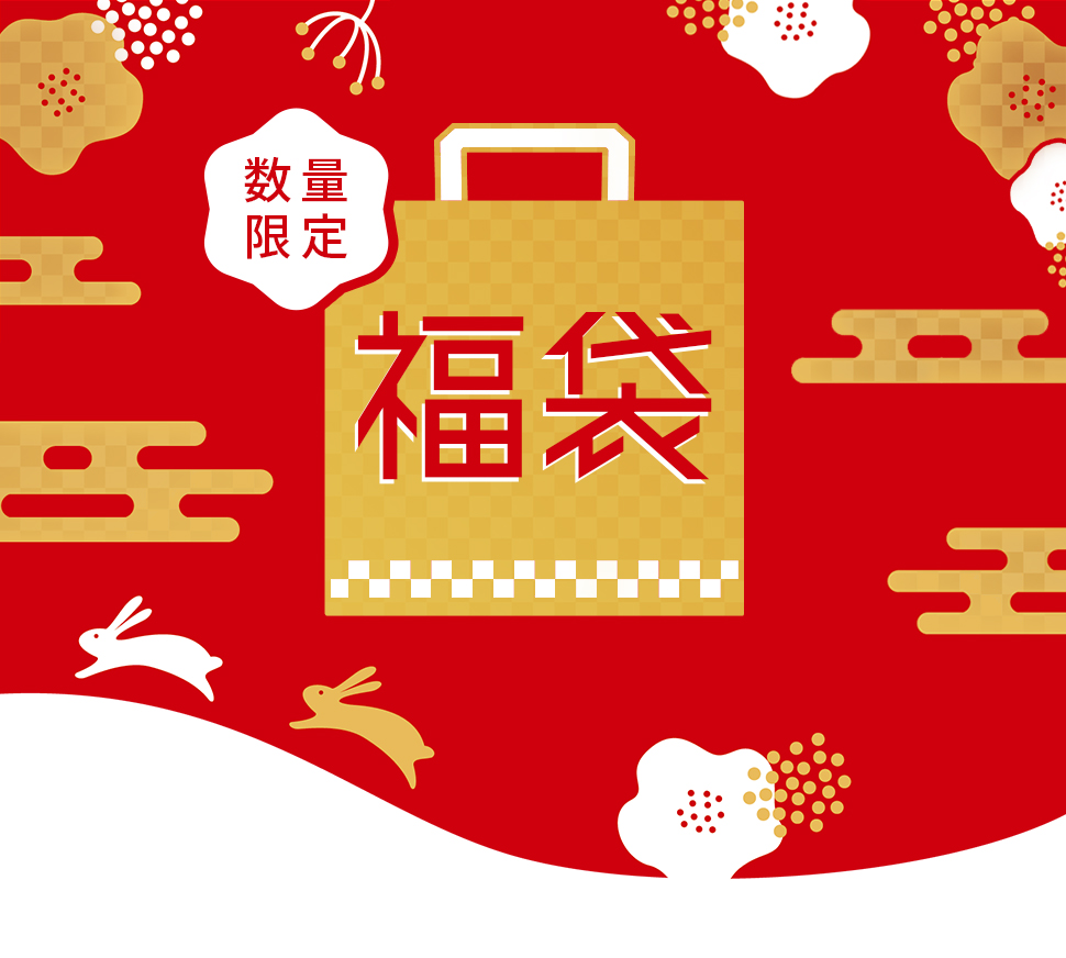 福袋 セール お買い得 クッション シンプル 折り畳み 座布団 座椅子 